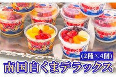 062-8-16 鹿児島名物 南国白くまDX詰合せ