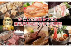 【全3回】かごしま黒豚さつまと鹿児島県産黒毛和牛定期便 080-22