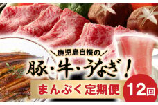 【全12回】鹿児島自慢の豚・牛・うなぎ まんぷく定期便 027-74