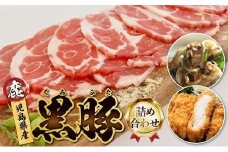 027-79 鹿児島県産黒豚切落し・とんかつ+生ハム100g
