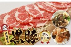 027-80 鹿児島県産黒豚切落し・しょうが焼き+生ハム100g