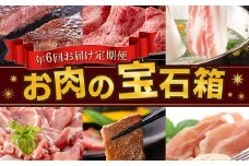 【全6回】いつからでも始められるお肉の宝石箱定期便 027-76