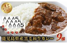 027-92 5等級黒毛和牛カレー ごろごろお肉入り200gx9個