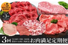 農家のお肉工場直送【3回定期便】鹿児島県産お肉満足定期便 027-94