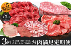 農家のお肉工場直送【3回定期便】鹿児島県産お肉満足定期便 027-94