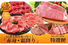 【全6回】鹿児島県産A5黒毛和牛霜降り・赤身食べ尽くし特選便3kg 027-95