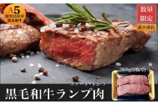 027-99 黒毛和牛赤身ランプ肉ステーキ360g