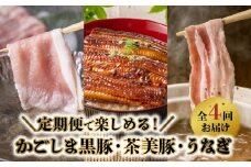 【全4回】かごしま黒豚・茶美豚・うなぎ定期便 106-13