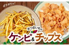 040-17 さつまいものケンピ&チップス セット