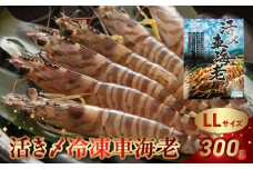 016-04 活き〆冷凍車海老LLサイズ