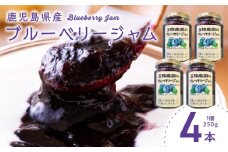 115-07 ブルーベリージャム 250g×4個