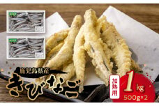 106-15 鹿児島県産キビナゴ1kg
