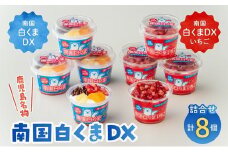 062-8-18 南国白くまDX・南国白くまDXいちご8個詰合せセット