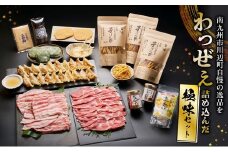 072-03 南九州市川辺町自慢の逸品をわっぜぇ詰め込んだ【極味】セット
