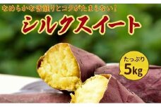 040-02 さつまいも「シルクスイート」5kg