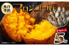 053-03 【先行予約】マロンゴールド5kg