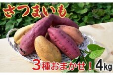040-01 さつまいも3種おまかせ4kgセット