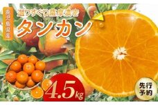 002-25 【先行予約】こだわりの薩摩濃密タンカン4.5kg
