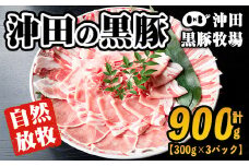 A3-01 鹿児島県産！幻の黒・沖田の黒豚(計900g・ロース、肩ロース、バラ、モモ、ウデいずれか3パック) ふるさと納税 伊佐市 特産品 国産 九州産 鹿児島 肉 お肉  黒豚 豚肉 生姜焼き しょうが焼き しゃぶしゃぶ 冷凍 冷凍便【沖田黒豚牧場】