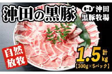 B6-01 鹿児島県産！贅沢な黒・沖田の黒豚(計1.5kg・ロース、肩ロース、バラ、モモ、ウデいずれか5パック) ふるさと納税 伊佐市 特産品 国産 九州産 鹿児島 肉 お肉  黒豚 豚肉 生姜焼き しょうが焼き しゃぶしゃぶ 冷凍 冷凍便【沖田黒豚牧場】