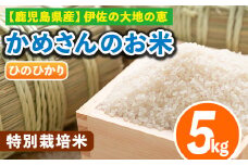 Z9-01 かめさんのお米(5kg・ひのひかり) ふるさと納税 伊佐市 特産品 白米 精米 ヒノヒカリ 【Farm-K】