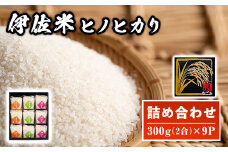 A2-01 鹿児島県産！伊佐米ヒノヒカリ和～なごみ～詰合せセット(計2.7kg・300g×9P・化粧箱入り) ふるさと納税 伊佐市 特産品 国産 白米 精米 伊佐米 お米 米 ひのひかり【神薗商店】