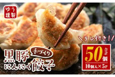 Z6-01 手づくり黒豚にんにく餃子(計50個・10個入り×5P) 伊佐市 特産品 鹿児島 手作り 生餃子 ギョウザ 黒豚 豚肉 冷凍食品 おかず おつまみ 惣菜 小分け 焼くだけ 簡単調理 冷凍便 【工房ゆう】