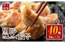 Z6-01 ＜2025年11月発送分(11月中に発送)＞黒豚にんにく餃子(計40個・8個入り×5P) 伊佐市 特産品 鹿児島 生餃子 ギョウザ 黒豚 豚肉 冷凍食品 おかず おつまみ 惣菜 小分け 焼くだけ 簡単調理 冷凍便 【工房ゆう】