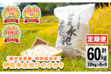 H4-01 【定期便】令和6年産 特別栽培米 伊佐米永池ひのひかり(計60kg・10kg×6ヶ月) ふるさと納税 伊佐市 特産品 鹿児島 永池 お米 米 白米 精米 伊佐米 九州米サミット 食味コンテスト 最優秀賞受賞 ヒノヒカリ 定期便【エコファーム永池】