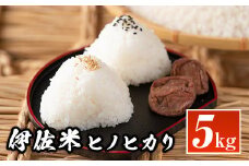 Z9-04 鹿児島県産！伊佐米ヒノヒカリ(5kg) ふるさと納税 伊佐市 特産品 ふるさと納税 伊佐市 特産品 薩摩 北の郷 特産品 お米 白米 精米 ひのひかり【神薗商店】