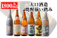 D2-01 大口酒造 焼酎 揃い踏み！黒伊佐錦、伊佐錦、伊佐舞、永禄二歳、伊佐小町、甕伊佐錦(1.8L各1本・計6本) ふるさと納税 伊佐市 特産品 鹿児島 本格芋焼酎 焼酎 芋焼酎 一升瓶 6銘柄 黒伊佐錦 伊佐錦 伊佐舞 永禄二歳 伊佐小町 甕伊佐錦【平酒店】