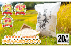 B8-05 令和6年産 特別栽培米 永池ひのひかり(計20kg・5kg×4袋) ふるさと納税 伊佐市 特産品 鹿児島 永池 お米 米 白米 精米 伊佐米 九州米サミット 食味コンテスト 最優秀賞受賞 ヒノヒカリ【エコファーム永池】