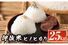 isa138  鹿児島県産！伊佐米ヒノヒカリ(25kg) ふるさと納税 伊佐市 特産品 国産 白米 精米 伊佐米 お米 米 ひのひかり【神薗商店】