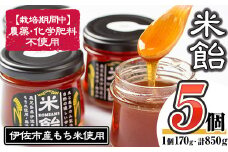 isa155 米飴(850g・170g×5個) ふるさと納税 伊佐市 特産品 シロップ 伊佐市産もち米 使用 米飴 砂糖 はちみつ 代用 離乳食 おやつ 甘味付け 麦芽 赤ちゃん 安心【食と木】