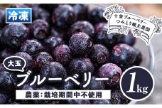 isa157 冷凍ブルーベリー(1kg)  ふるさと納税 伊佐市 特産品 フルーツ 果物 冷凍 冷凍便【伊佐ブルーベリーつみとり観光農園】