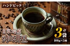 isa198 自家焙煎珈琲豆3袋(計300g・100g×3種)ふるさと納税 伊佐市 特産品 コーヒー coffee コーヒー豆 自家焙煎 ハンドピック 飲み比べ 飲料【工房ゆう】