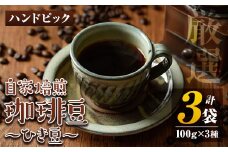 isa213 自家焙煎珈琲ひき豆3袋(計300g・100g×3種)ふるさと納税 伊佐市 特産品 コーヒー coffee コーヒー豆 自家焙煎 ハンドピック 飲み比べ 飲料【工房ゆう】