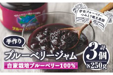 isa223 手作りブルーベリージャム(計3個・各250g) ふるさと納税 伊佐市 特産品 詰合せ ギフト ジャム 手づくり 自家栽培 ブルーベリー 甘さ控えめ【伊佐ブルーベリーつみとり観光農園】