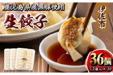 isa266 100年以上続く精肉店の黒豚餃子(計36個・12個入×3P) ふるさと納税 伊佐市 特産品 惣菜 鹿児島 手作り 生餃子 ギョウザ 黒豚 豚肉 冷凍食品 おかず おつまみ 惣菜 小分け 焼くだけ 簡単調理 冷凍便【増元精肉店】