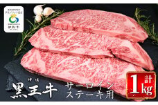 isa297 鹿児島県産黒毛和牛 伊佐黒王牛サーロインステーキ！(計1kg・250g×4パック) ふるさと納税 伊佐市 特産品 ブランド牛 牛肉 国産 九州産 鹿児島県産 ステーキ肉 和牛 ギフト 肉 贈り物 プレゼント 焼肉【プラン・ビー】