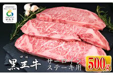 isa337 鹿児島県産黒毛和牛 伊佐黒王牛サーロインステーキ！(計500g・250g×2パック) ふるさと納税 伊佐市 特産品 ブランド牛 牛肉 国産 九州産 鹿児島県産 サーロイン 焼肉  ステーキ肉 和牛 ギフト 肉 贈り物 プレゼント【プラン・ビー】