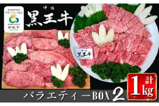 isa339 鹿児島県産黒毛和牛 伊佐黒王牛バラエティーBOX2(計1kg・焼肉用リブロース＆カタスライス) ふるさと納税 伊佐市 特産品 ブランド牛 牛肉 国産 九州産 鹿児島県産 スライス肉 和牛 ギフト 肉 贈り物 プレゼント 食べ比べ 詰合せ【プラン・ビー】
