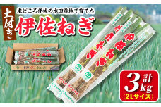 isa410 米どころ伊佐の水田跡地で作った伊佐ねぎ(計3kg・2Lサイズ) ふるさと納税 伊佐市 特産品 鹿児島 国産 九州産 ネギ 葱 土付き 白ねぎ 深ねぎ 泥付き 野菜 薬味 BBQ【ドリームファーム】