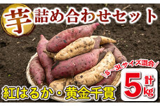 isa416 ＜期間限定＞鹿児島県産芋詰め合わせセット(5kg・S～3Lサイズ混合) 伊佐市 さつま芋 特産品 さつま芋 特産品 サツマイモ さつまいも 食べ比べ 焼き芋に 紅はるか 黄金千貫 伊佐市産【西農園】