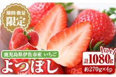 isa415 ＜2025年1月～3月発送予定＞《期間・数量限定》酸味が少なく甘いいちごよつぼし(計1080g以上 約270g×4パック) 果物 フルーツ イチゴ 苺 ストロベリー 産地直送 【大国ファーム】