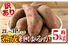 isa425 《訳あり》熟成紅はるか(約5kg・2L～3Lサイズ混合) 訳あり さつまいも 紅はるか 鹿児島 生芋 完熟 長期熟成 土付き べにはるか サツマイモ 焼き芋に  【いさ工房】