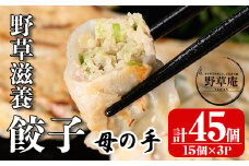 isa426 野草滋養餃子「母の手」(計45個・15個×3P) ふるさと納税 伊佐市 特産品 ギョーザ ぎょうざ 鹿児島 手作り ギョウザ 豚肉 冷凍食品 おかず おつまみ 惣菜 小分け 焼くだけ 簡単調理 冷凍便【やさしいまち】