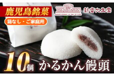 isa440 ご家庭用かるかん饅頭(10個) ふるさと納税 伊佐市 特産品 和菓子 まんじゅう お菓子 鹿児島 伝統菓子 銘菓 軽羹 セット 贈り物 ご進物 プレゼント 贈答【新富大生堂】