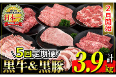 isa430 【5回定期便・2月発送開始】鹿児島黒牛・黒豚定期便(総量3.9kg) ふるさと納税 鹿児島黒牛・黒豚定期便(総量3.9kg) 国産 鹿児島 黒豚 豚 豚肉 ロース 豚カツ トンカツ しゃぶしゃぶ  小分け 冷凍 冷凍便 ステーキ サーロイン すき焼き 牛 牛肉 肉 ウデ スライス 赤身 霜降り カタロース【JA北さつま】
