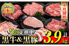 isa432 【5回定期便・4月発送開始】鹿児島黒牛・黒豚定期便(総量3.9kg) ふるさと納税 鹿児島黒牛・黒豚定期便(総量3.9kg) 国産 鹿児島 黒豚 豚 豚肉 ロース 豚カツ トンカツ しゃぶしゃぶ  小分け 冷凍 冷凍便 ステーキ サーロイン すき焼き 牛 牛肉 肉 ウデ スライス 赤身 霜降り カタロース 【JA北さつま】